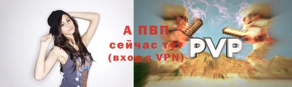 спайс Богородицк