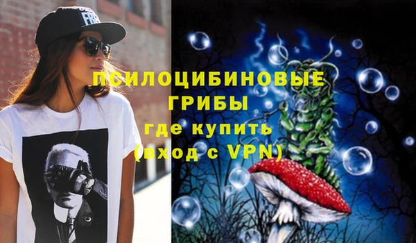 спайс Богородицк