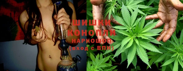 спайс Богородицк