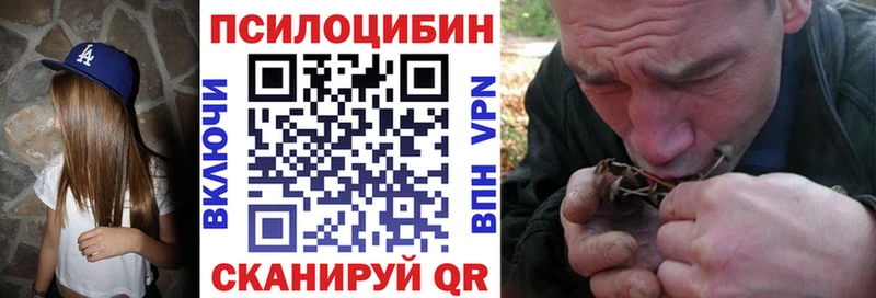 Псилоцибиновые грибы мицелий  сайты даркнета клад  Донской  omg  