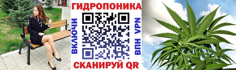 kraken ONION Донской Бошки Шишки AK-47